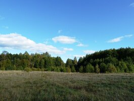 Land for sale Ignalinos rajono sav., Milašaityje