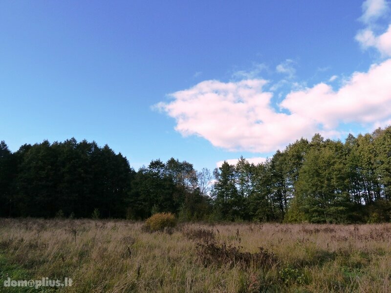 Land for sale Ignalinos rajono sav., Milašaityje