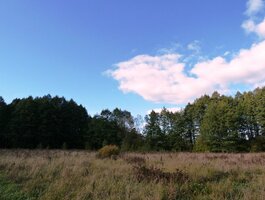 Land for sale Ignalinos rajono sav., Milašaityje