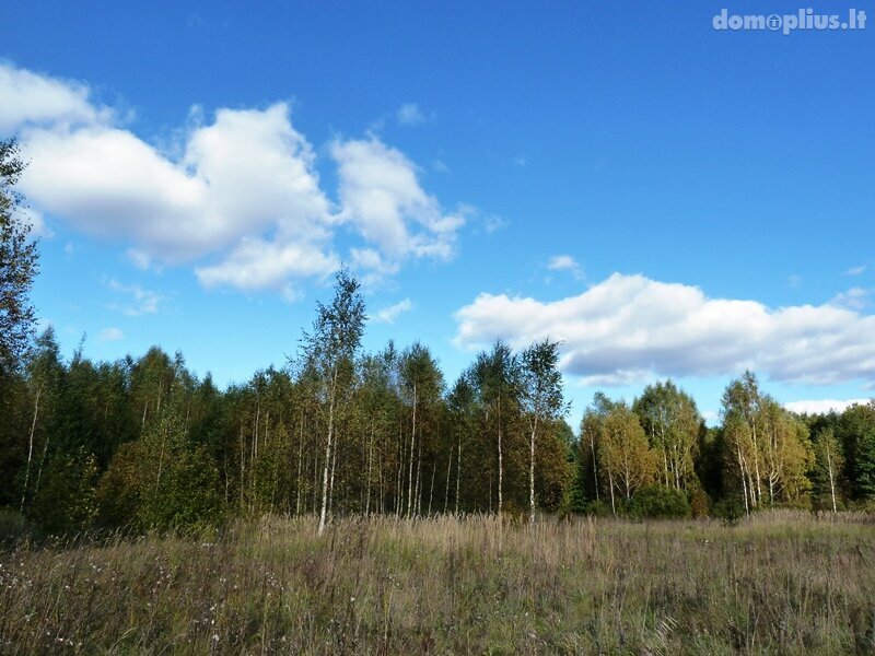 Land for sale Ignalinos rajono sav., Milašaityje