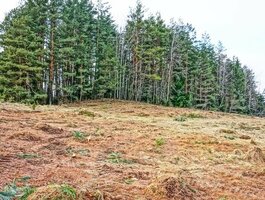 Parduodamas sklypas Ignalinos rajono sav., Rukšiškėje