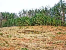 Parduodamas sklypas Ignalinos rajono sav., Rukšiškėje