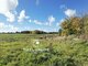 Land for sale Šilutės rajono sav., Šturmuose (1 picture)
