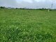 Land for sale Jurbarko rajono sav., Jurbarke, Vilties g. (2 picture)