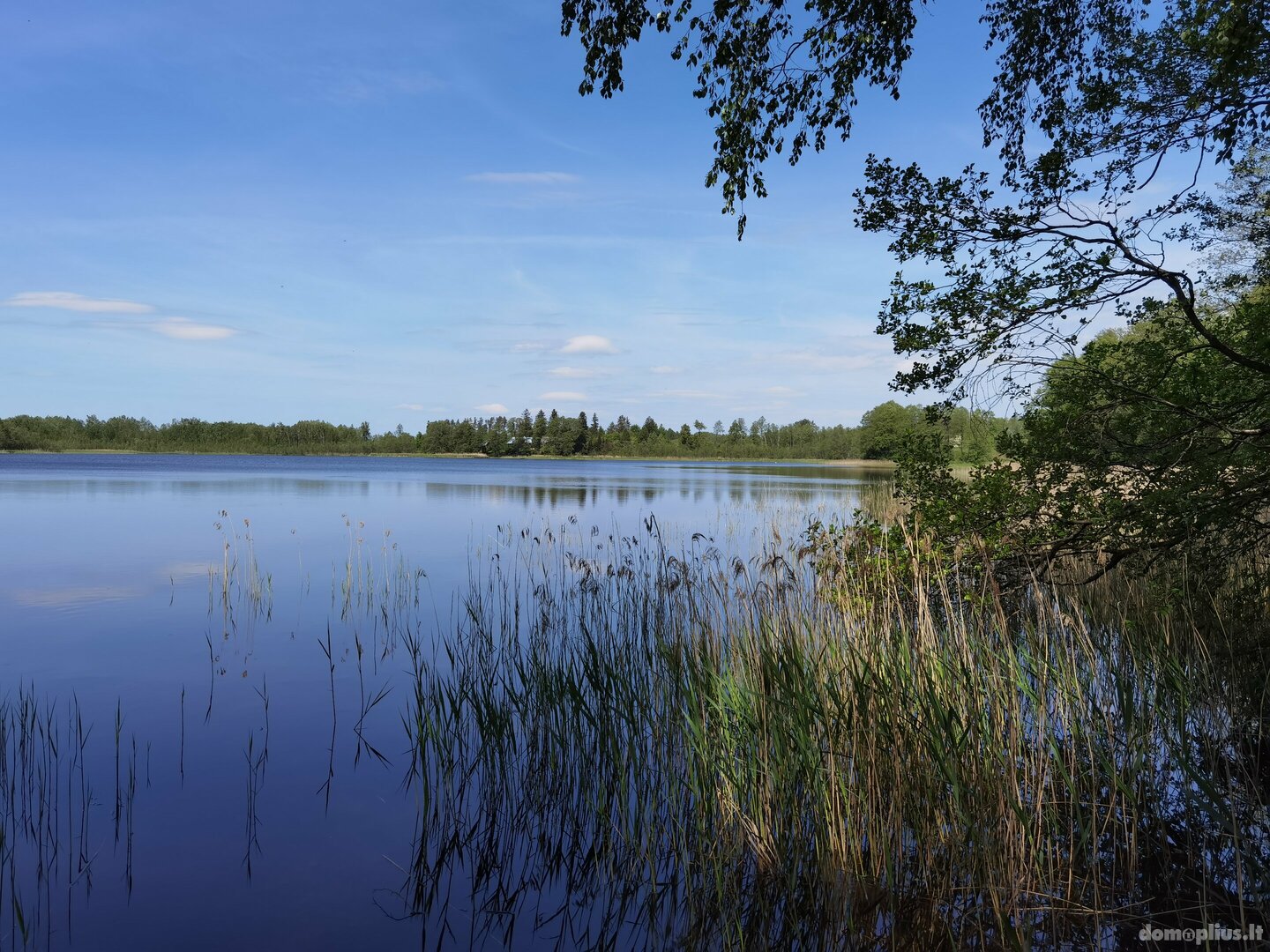 Parduodamas sklypas Alytaus rajono sav., Bukaučiškės II, Ežero g.