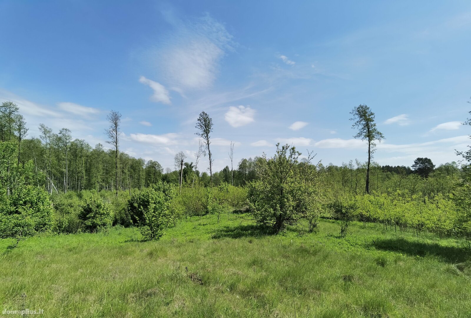 Parduodamas sklypas Alytaus rajono sav., Bukaučiškės II, Ežero g.