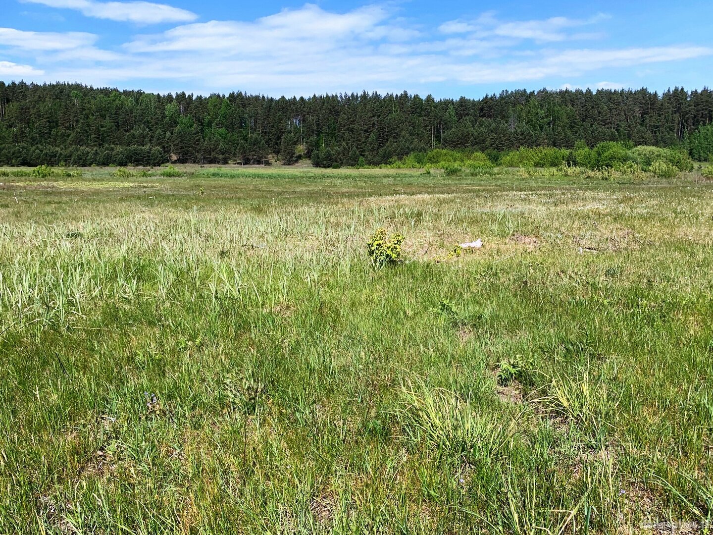 Parduodamas sklypas Druskininkų sav., Gailiūnuose, Gailiūnų g.
