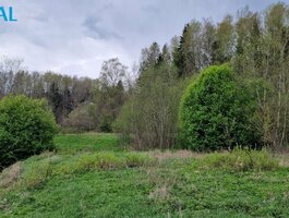 Участок Raseinių rajono sav., Godlaukyje