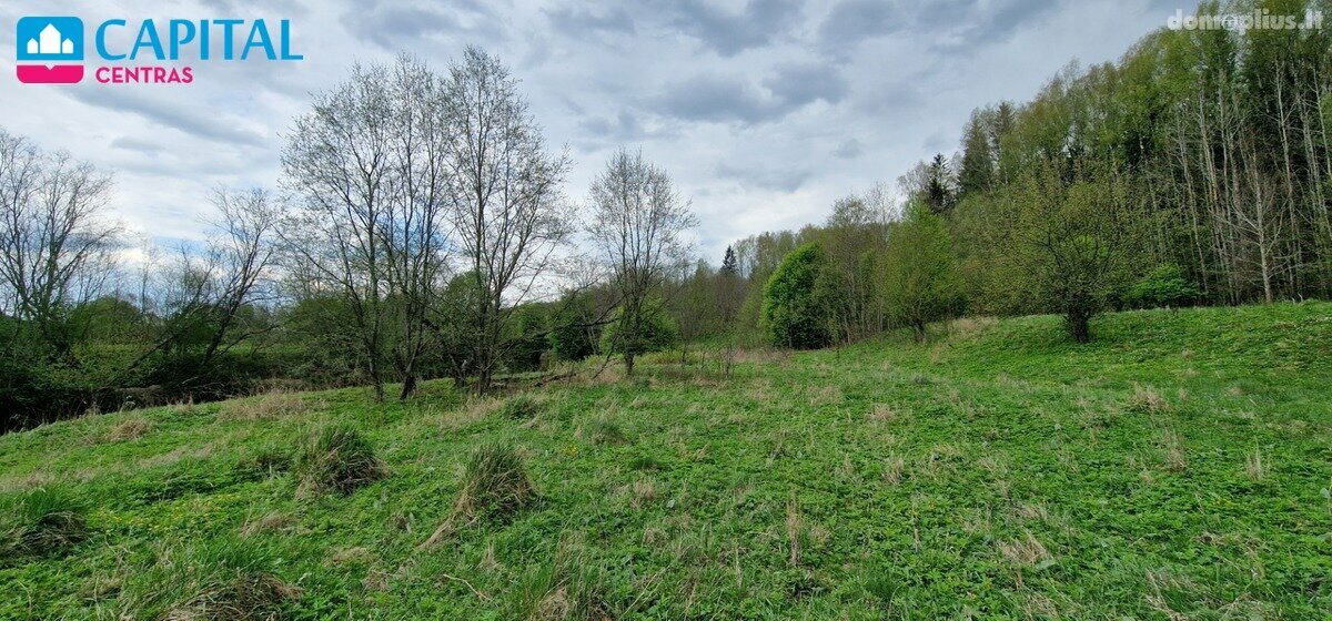 Участок Raseinių rajono sav., Godlaukyje