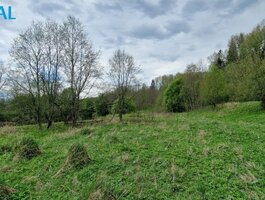 Участок Raseinių rajono sav., Godlaukyje