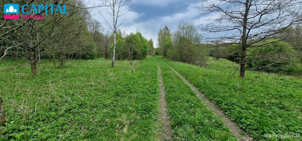 Участок Raseinių rajono sav., Godlaukyje
