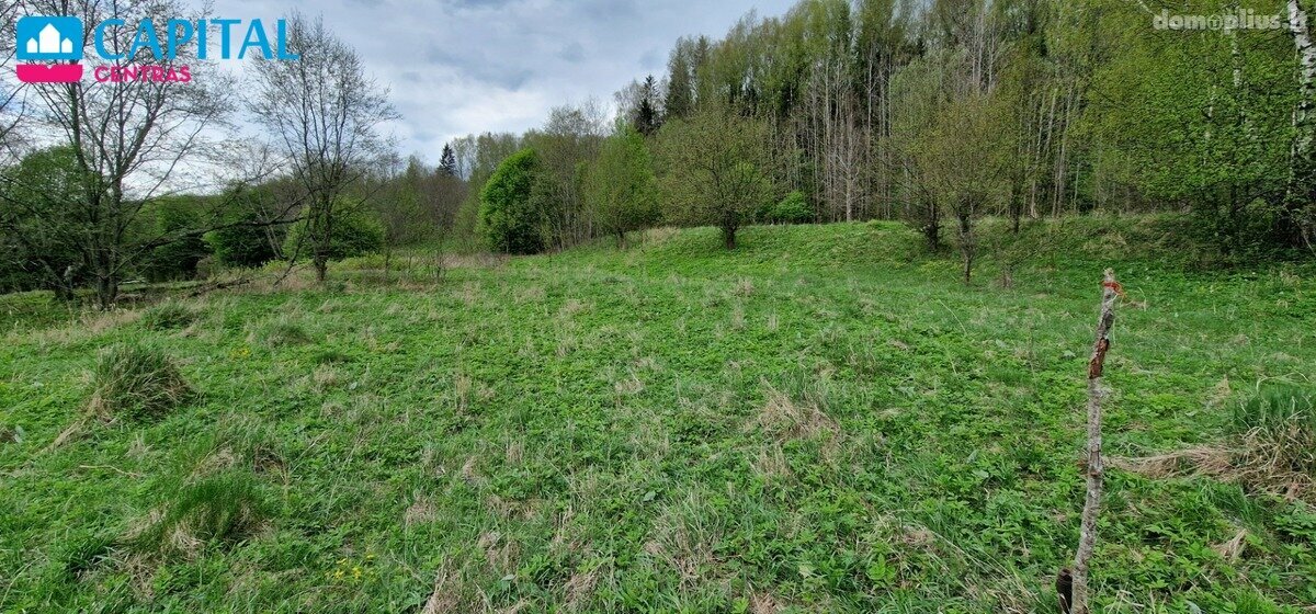Участок Raseinių rajono sav., Godlaukyje