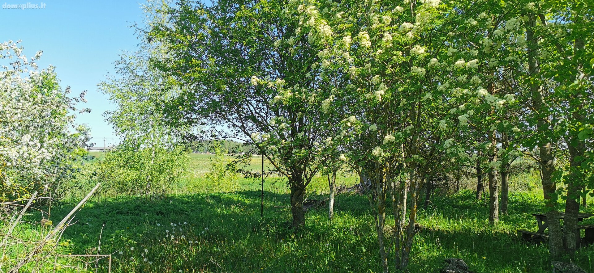 Parduodamas sklypas Panevėžio rajono sav., Uliūnuose