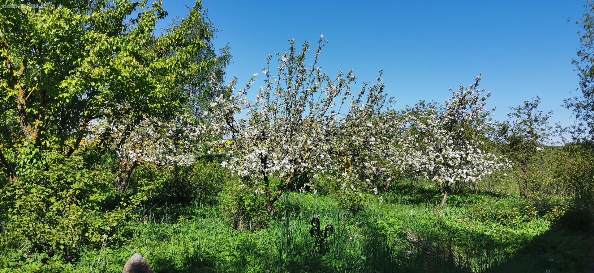Parduodamas sklypas Panevėžio rajono sav., Uliūnuose