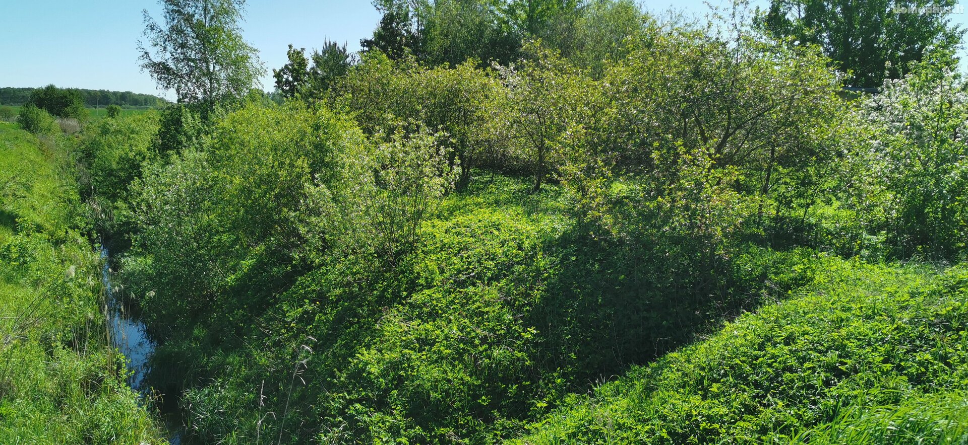 Parduodamas sklypas Panevėžio rajono sav., Uliūnuose