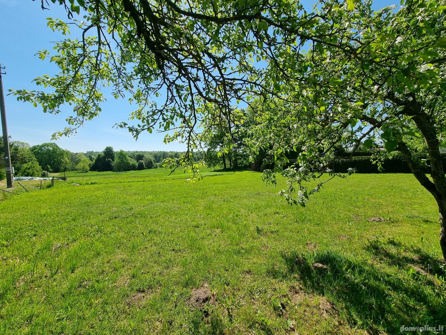 Parduodamas sklypas Klaipėdos rajono sav., Kuliuose, Pakrantės 1-oji g.