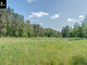 Land for sale Vilniaus rajono sav. (2 picture)