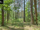 Land for sale Vilniaus rajono sav. (6 picture)
