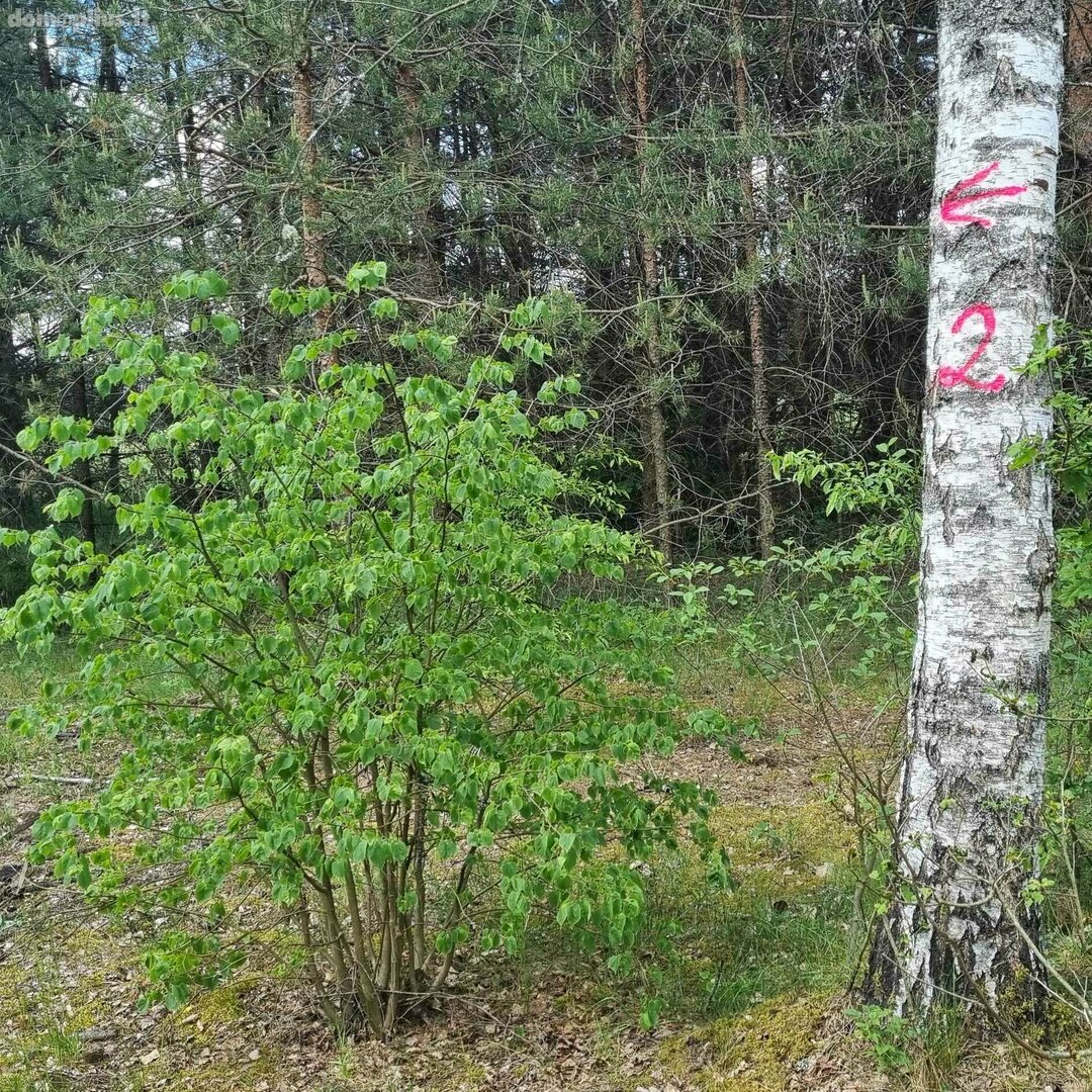 Parduodamas sklypas Kauno rajono sav., Šiuliuose, Višakio g.