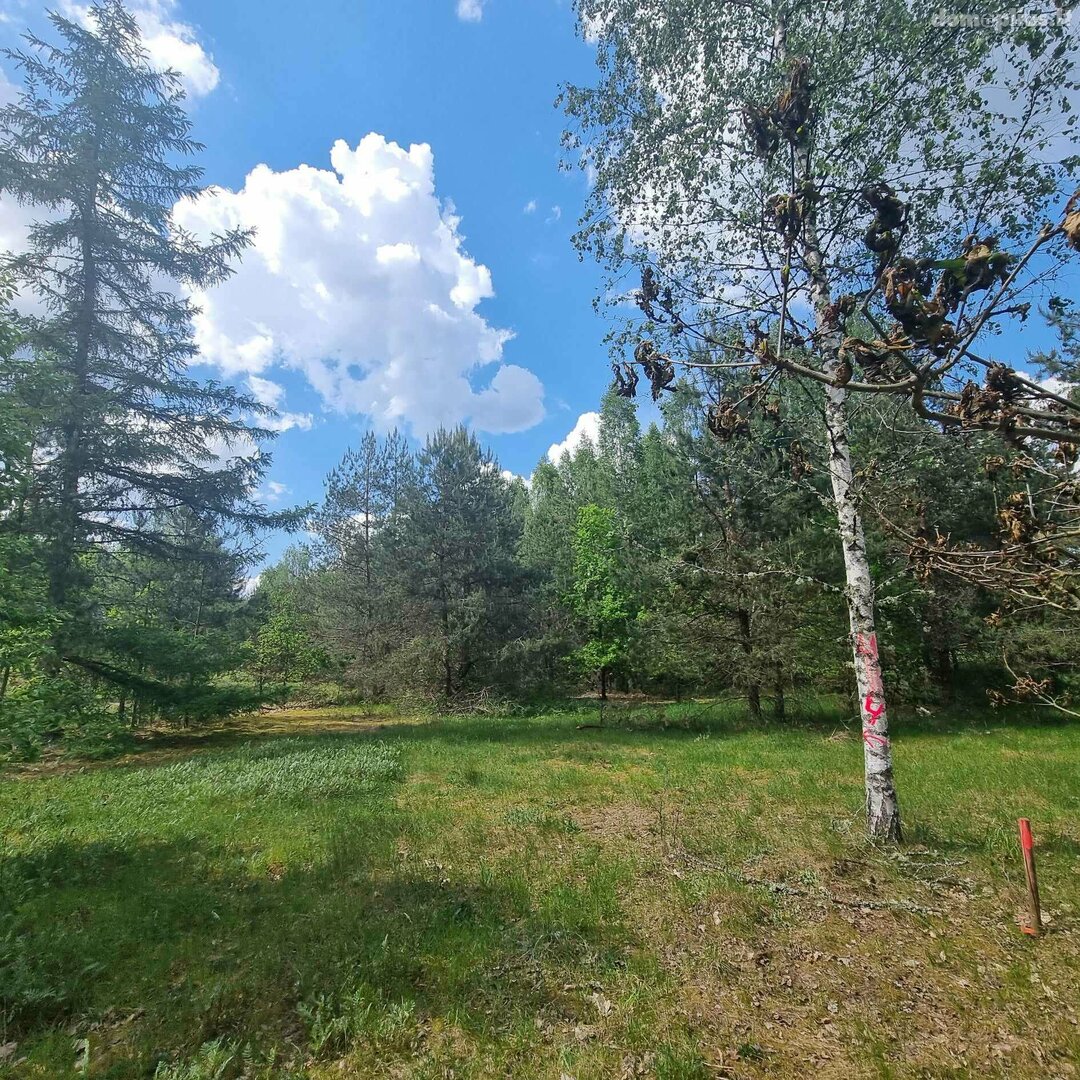 Parduodamas sklypas Kauno rajono sav., Šiuliuose, Višakio g.