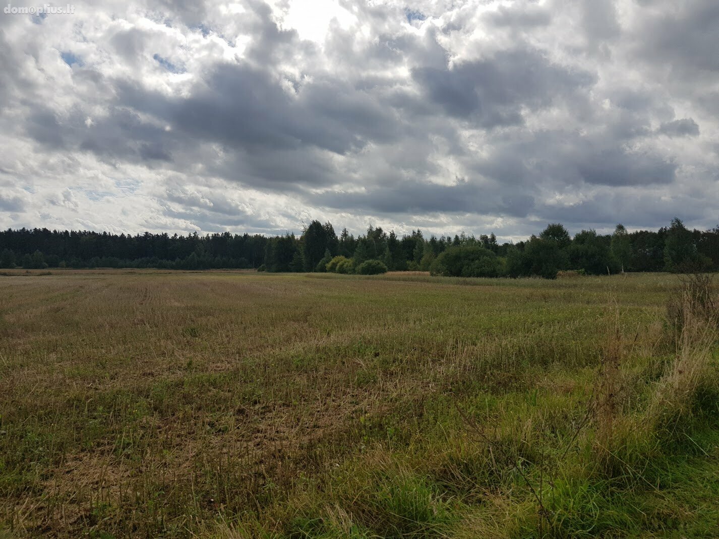 Parduodamas sklypas Panevėžio rajono sav., Klickuose
