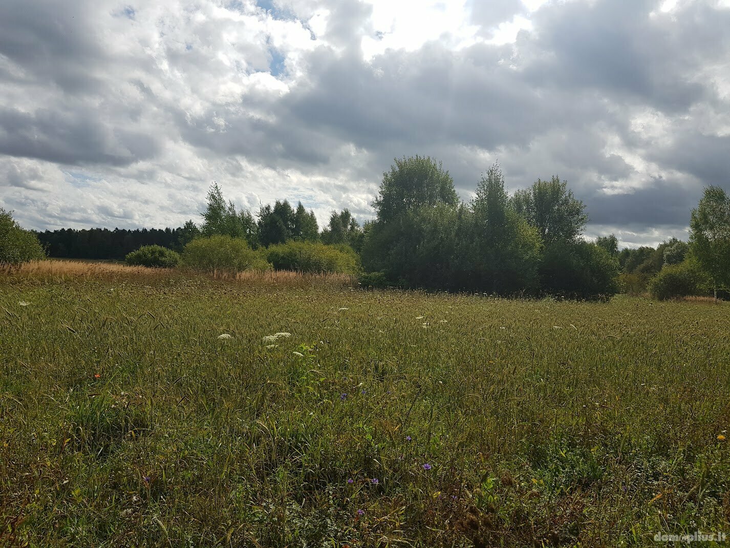 Parduodamas sklypas Panevėžio rajono sav., Klickuose