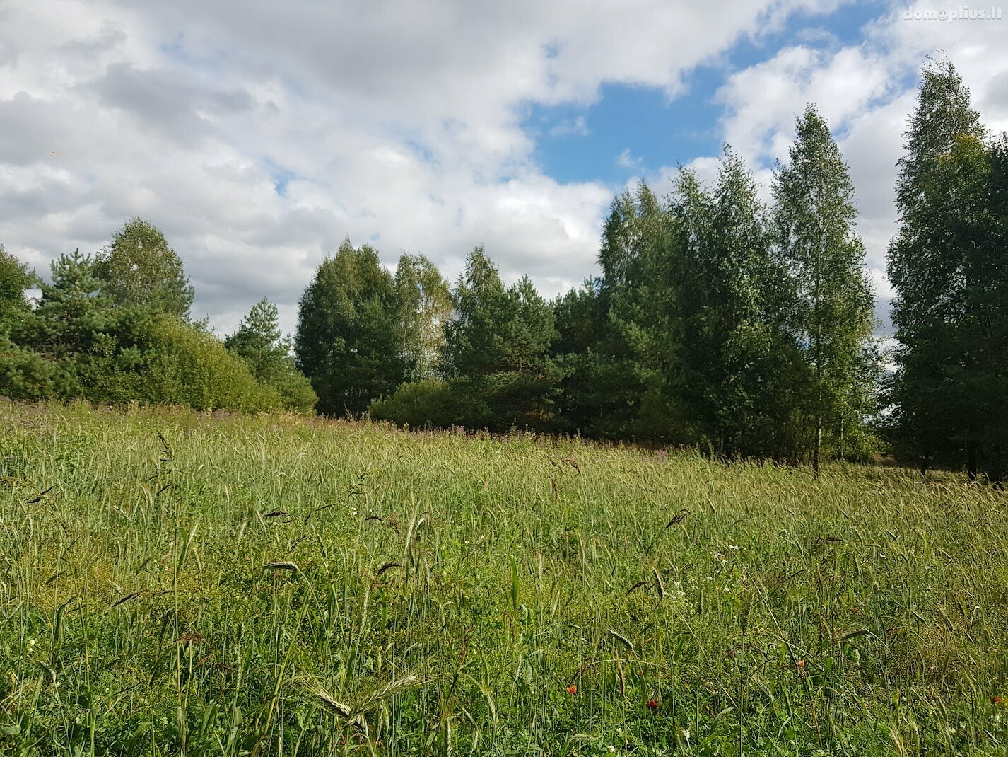 Parduodamas sklypas Panevėžio rajono sav., Klickuose