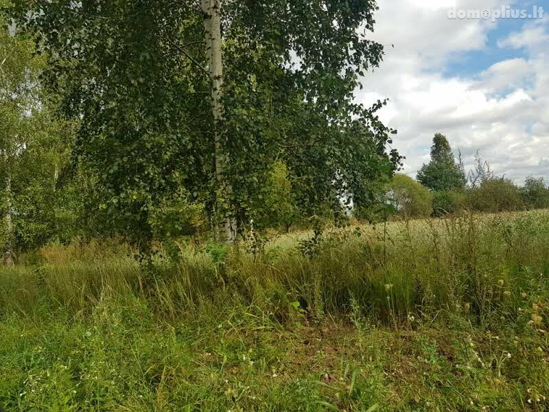 Parduodamas sklypas Panevėžio rajono sav., Klickuose