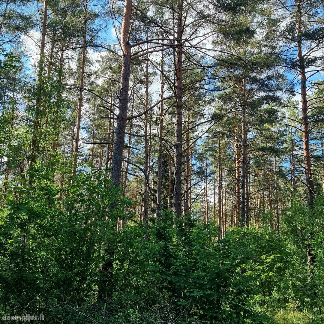 Parduodamas sklypas Kauno rajono sav., Gaižėnuose