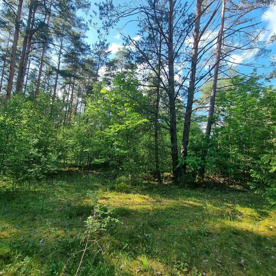 Parduodamas sklypas Kauno rajono sav., Gaižėnuose
