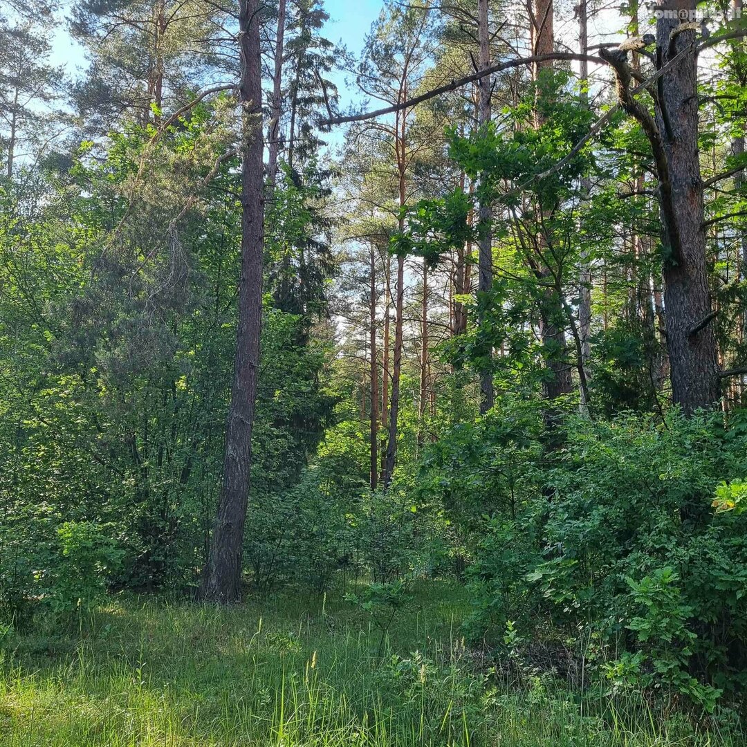 Parduodamas sklypas Kauno rajono sav., Gaižėnuose