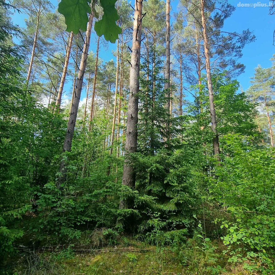 Parduodamas sklypas Kauno rajono sav., Gaižėnuose