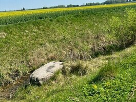 Parduodamas sklypas Panevėžio rajono sav., Lepšiuose