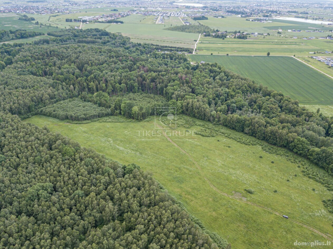 Parduodamas sklypas Klaipėdos rajono sav., Radailiuose