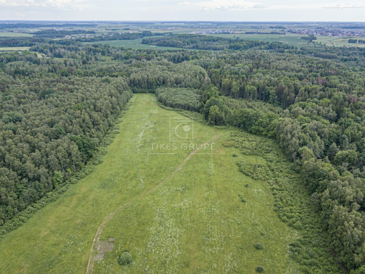 Parduodamas sklypas Klaipėdos rajono sav., Radailiuose