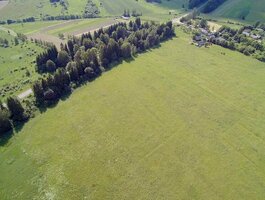 Parduodamas sklypas Vilniaus rajono sav., Gulbinėje