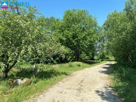 Parduodamas sklypas Klaipėdos rajono sav., Radailiuose