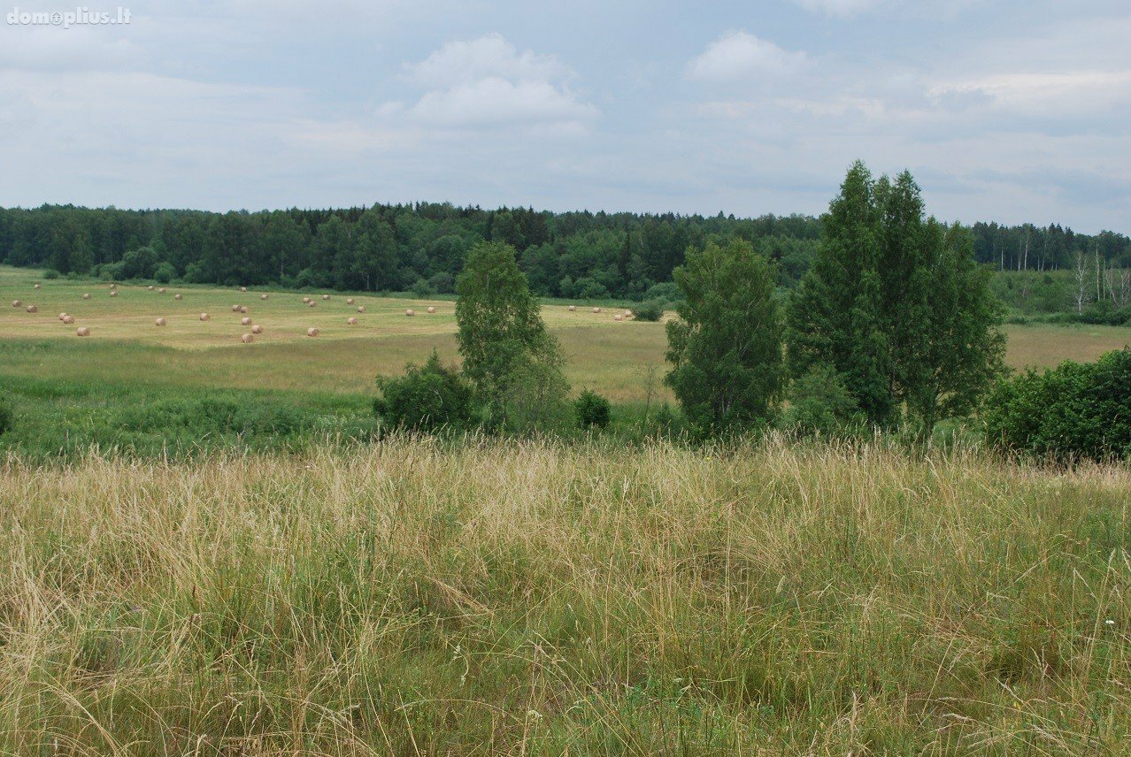 Parduodamas sklypas Anykščių rajono sav., Andrioniškyje