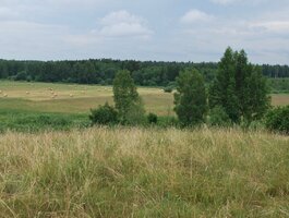 Parduodamas sklypas Anykščių rajono sav., Andrioniškyje