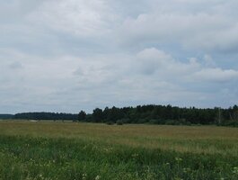 Parduodamas sklypas Anykščių rajono sav., Andrioniškyje