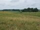 Land for sale Anykščių rajono sav., Andrioniškyje (8 picture)