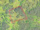 Parduodamas sklypas Trakų rajono sav., Mergiškėse (11 nuotrauka)