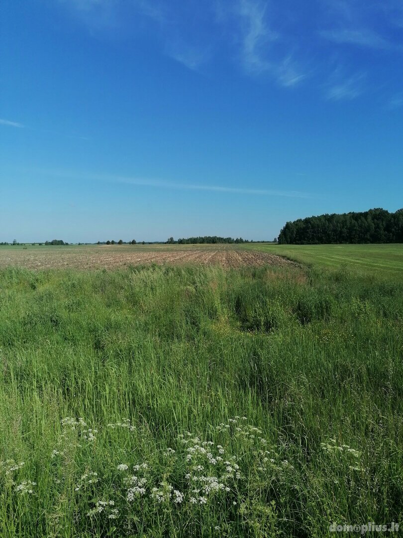 Parduodamas sklypas Klaipėdos rajono sav., Medsėdžiuose, Jurjonų g.