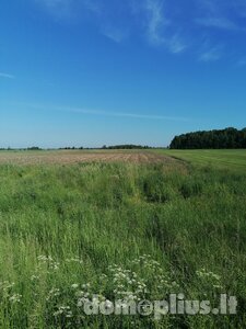 Parduodamas sklypas Klaipėdos rajono sav., Medsėdžiuose, Jurjonų g.