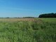 Parduodamas sklypas Klaipėdos rajono sav., Medsėdžiuose, Jurjonų g. (1 nuotrauka)