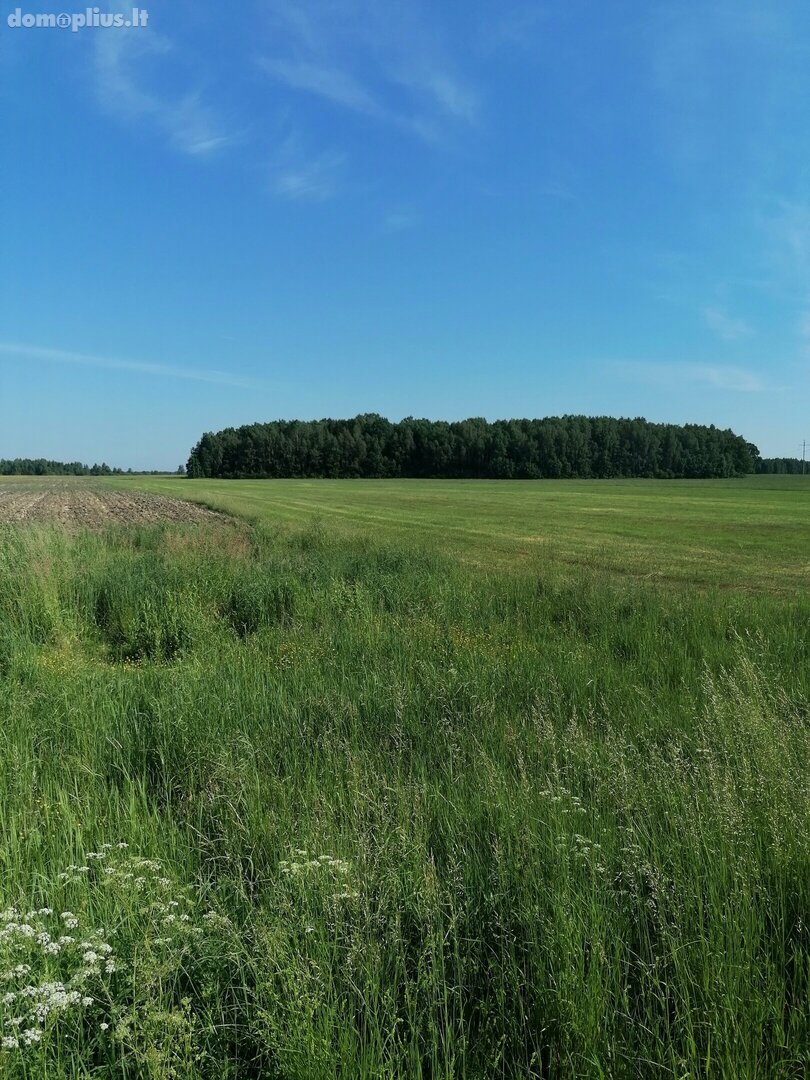 Parduodamas sklypas Klaipėdos rajono sav., Medsėdžiuose, Jurjonų g.
