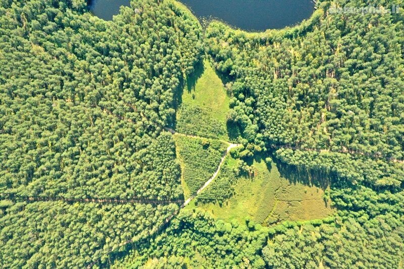 Parduodamas sklypas Ignalinos rajono sav., Tabore