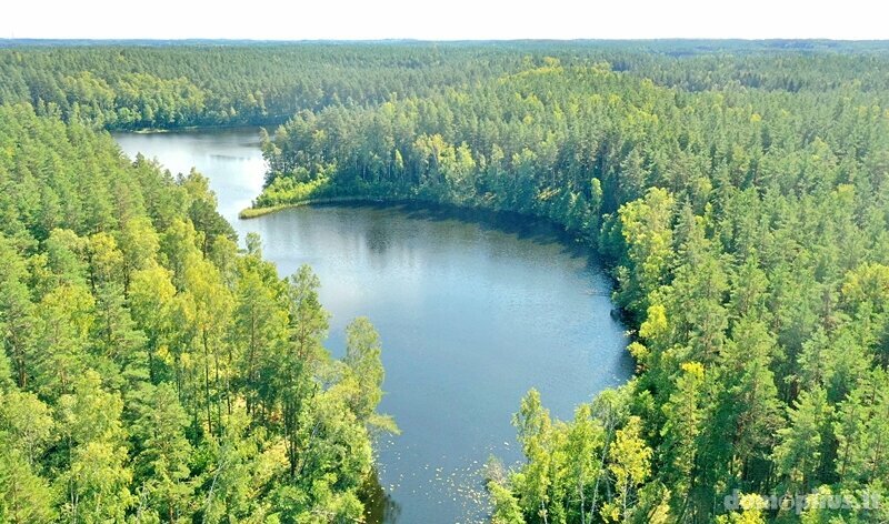Parduodamas sklypas Ignalinos rajono sav., Tabore