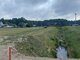 Parduodamas sklypas Druskininkų sav., Jaskonyse (5 nuotrauka)