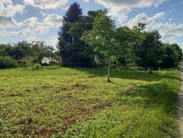 Land for sale Klaipėdos rajono sav., Šnaukštuose